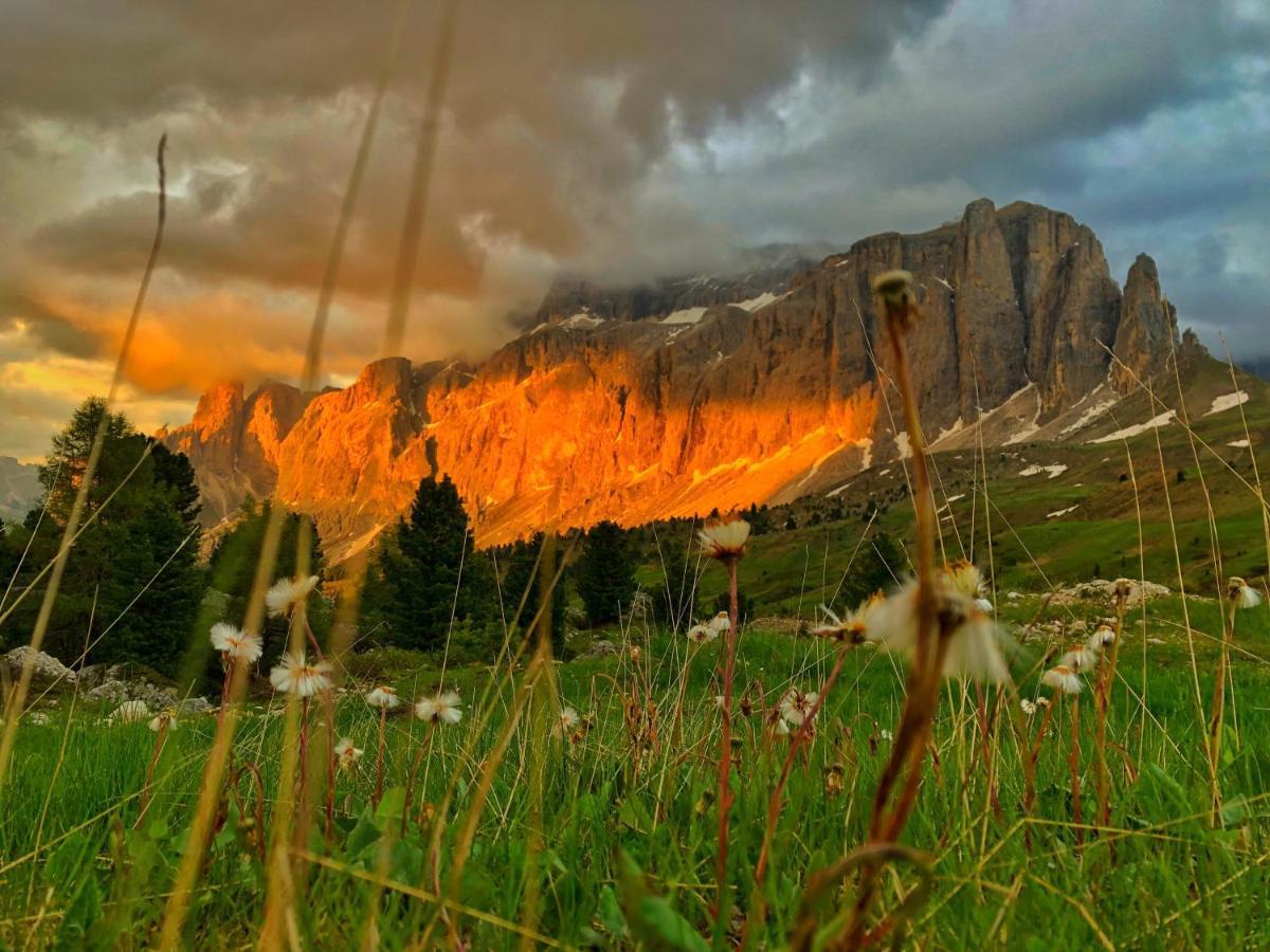 Passo Sella Dolomiti Mountain Resort Selva di Val Gardena Dış mekan fotoğraf